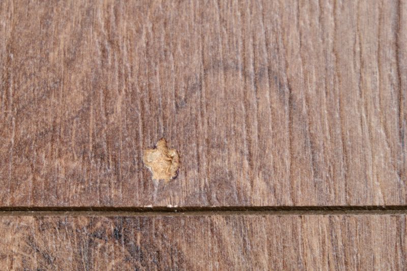 Wood Floor Repair