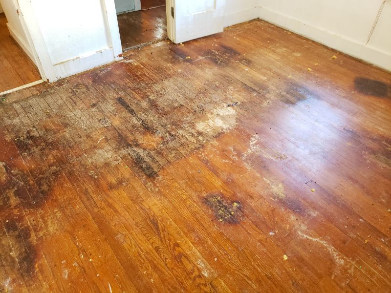 Completed Wood Floor Repair